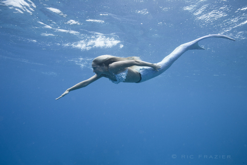 underwater photography Mermaid in the wild