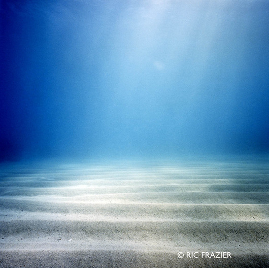 underwater photography ocean